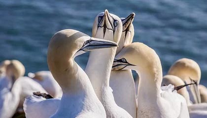 商务模特的工作内容